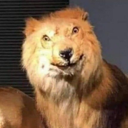 Imagem do componente